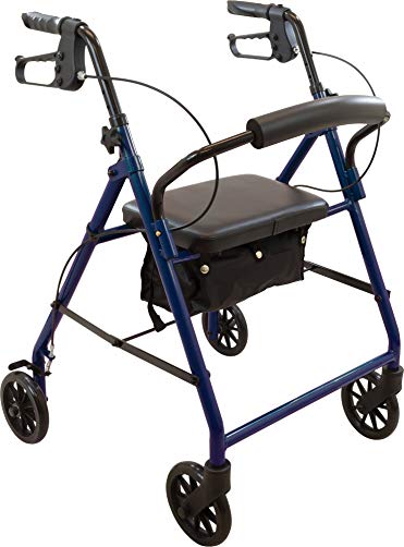 ProBasics Steel Rollator with 6-inch Wheels, Padded Seat and Backrest, Height Adjustable Handles, Folds for Storage & Transport, 300 Pound Weight Capacity, Blue