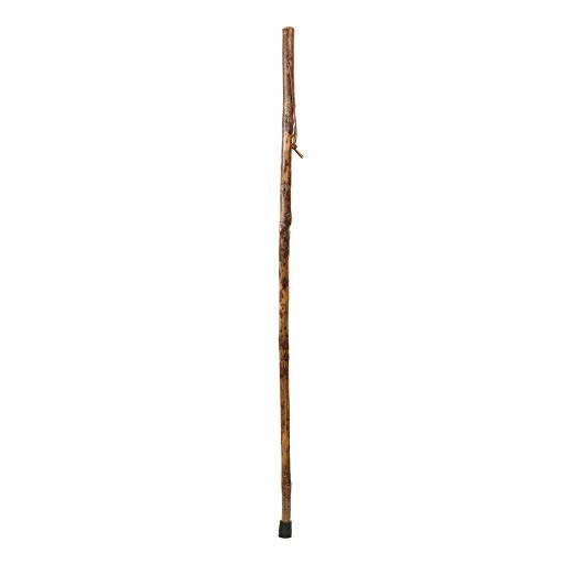 Hiking Walking Trekking Stick - Handcrafted Wooden Walking & Hiking Stick - Made in the USA by Brazos - Hickory Photographer - 55 inches